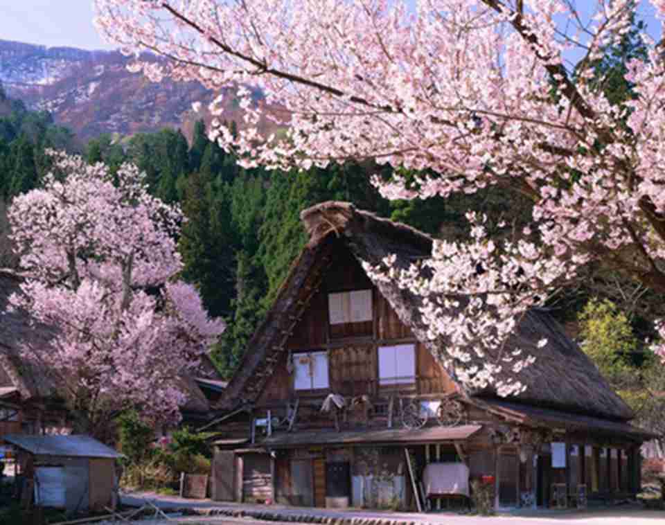 ������������������ο�ϲ����˵�һ�����ؾ���