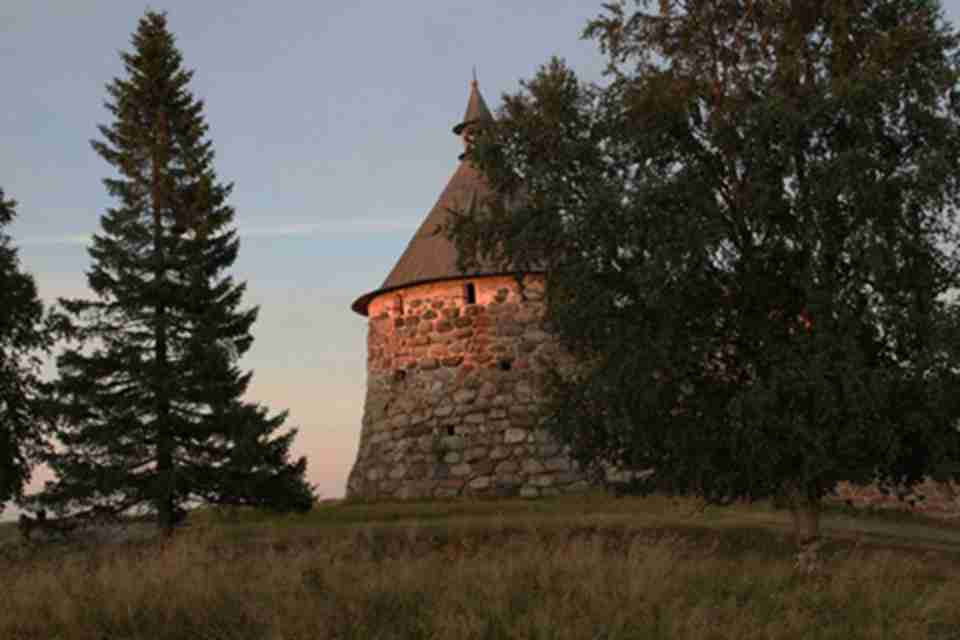 ����Τ�Ļ�Ⱥ�����