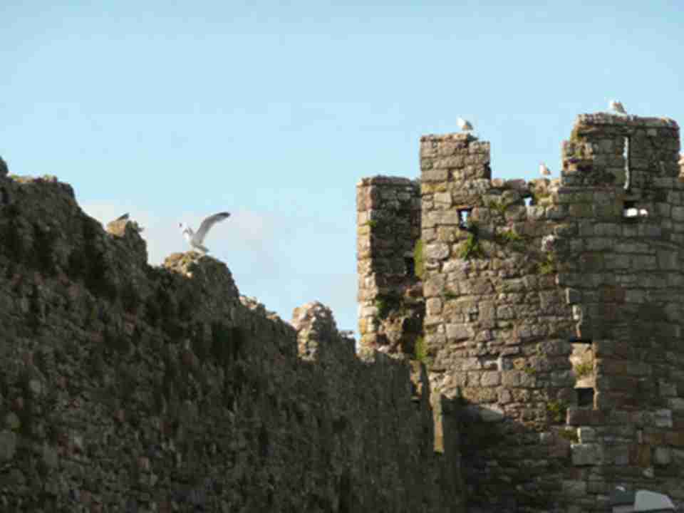 ��Τ�Ǳ�1��2ǧ�׳��ĳ�ǽ�����Ű��»�һ��ʱ����һ������ʿ���ı�������