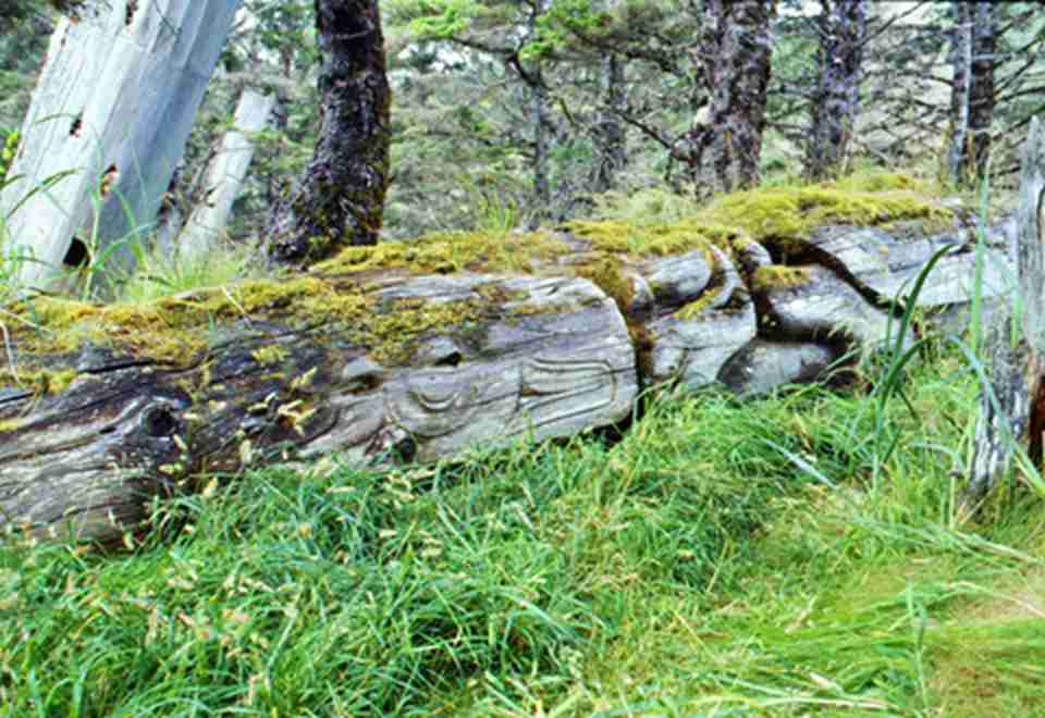 �����ִ��з��ݡ�ͼ������ɥ��������ʷ�ż�����Щ�ż������ֵĺ����������