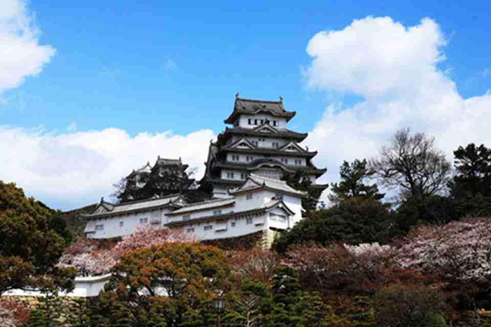 ����עĿ��������ɫ��ǽ�����������ΰ���ľ�ṹ�Ǳ�