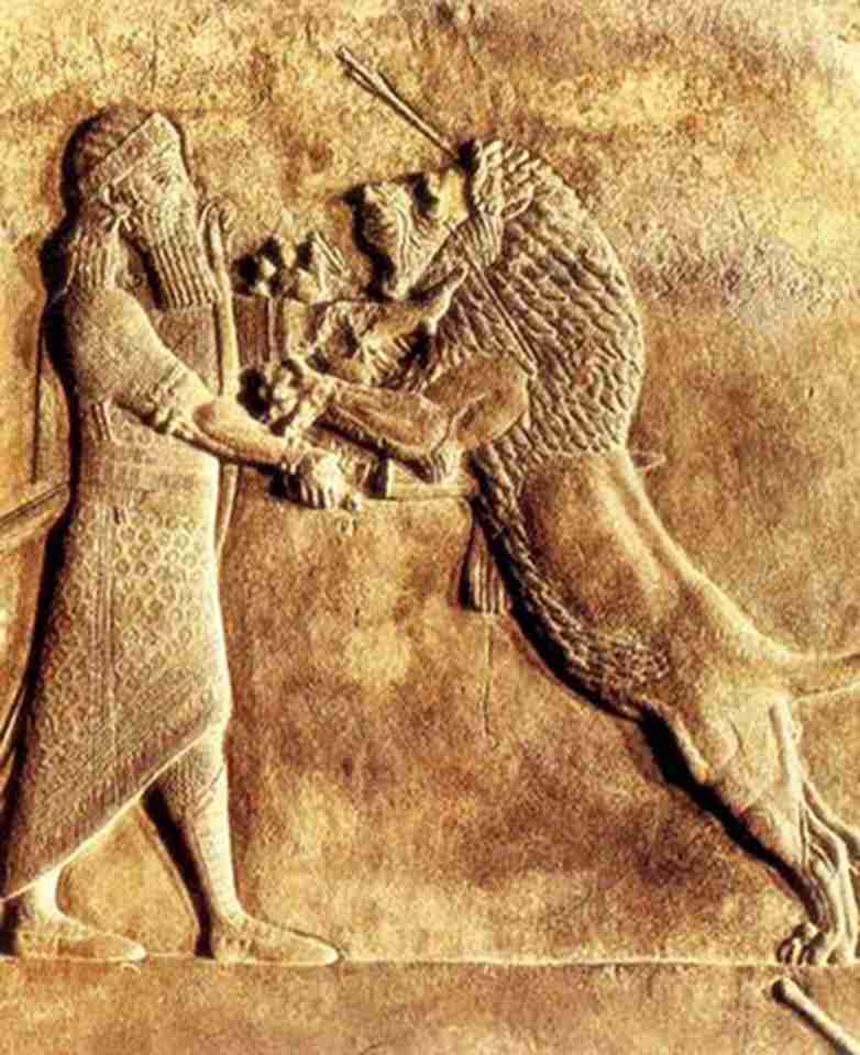 ���񡰴�������ʨ����дһͷ��ʨ����������