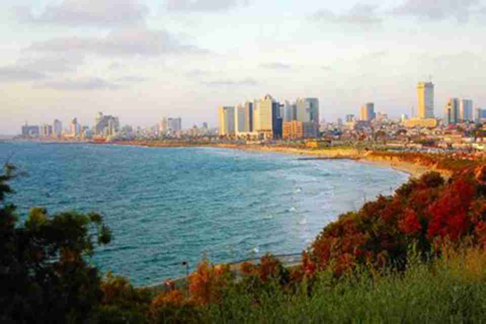 ̩��������ͻ���ڵ��к��ϣ�����ɫ�а���������ʮ��Ӣ��