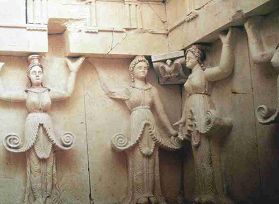 ��Ĺ�ڵıڻ�����ɫ���������������ʷ���ڻ��ϵ��������������