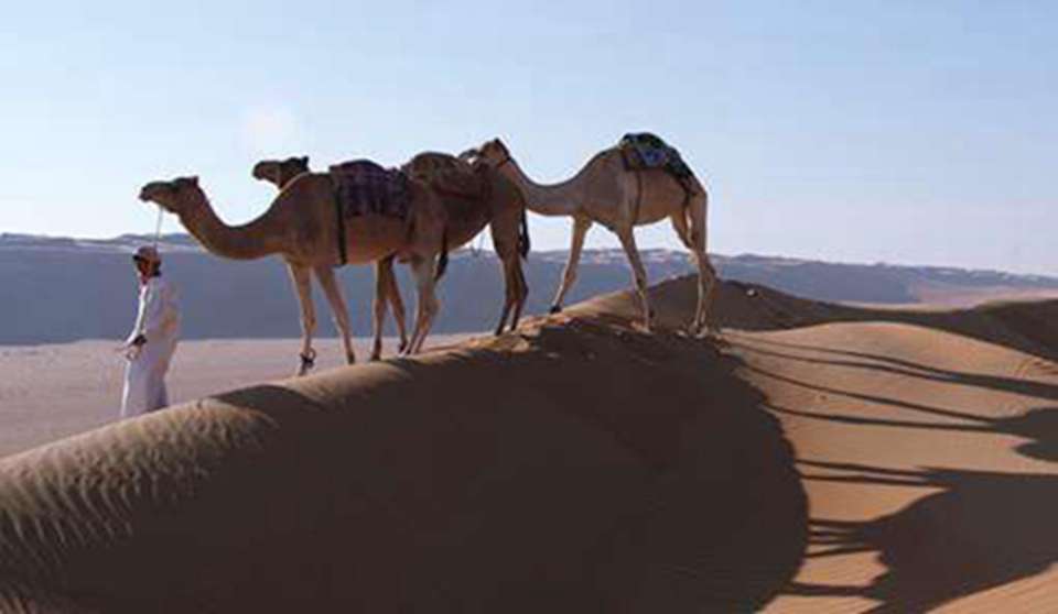 ��������ǰ�������̶��������㣬�����������뵺�����϶�