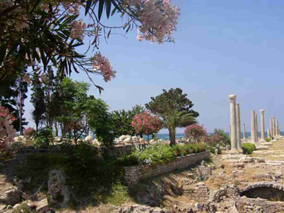 ���ģ�ĺ���ó�ף�ʹ����ǳ�Ϊ�����к�����Ҫ��ó������