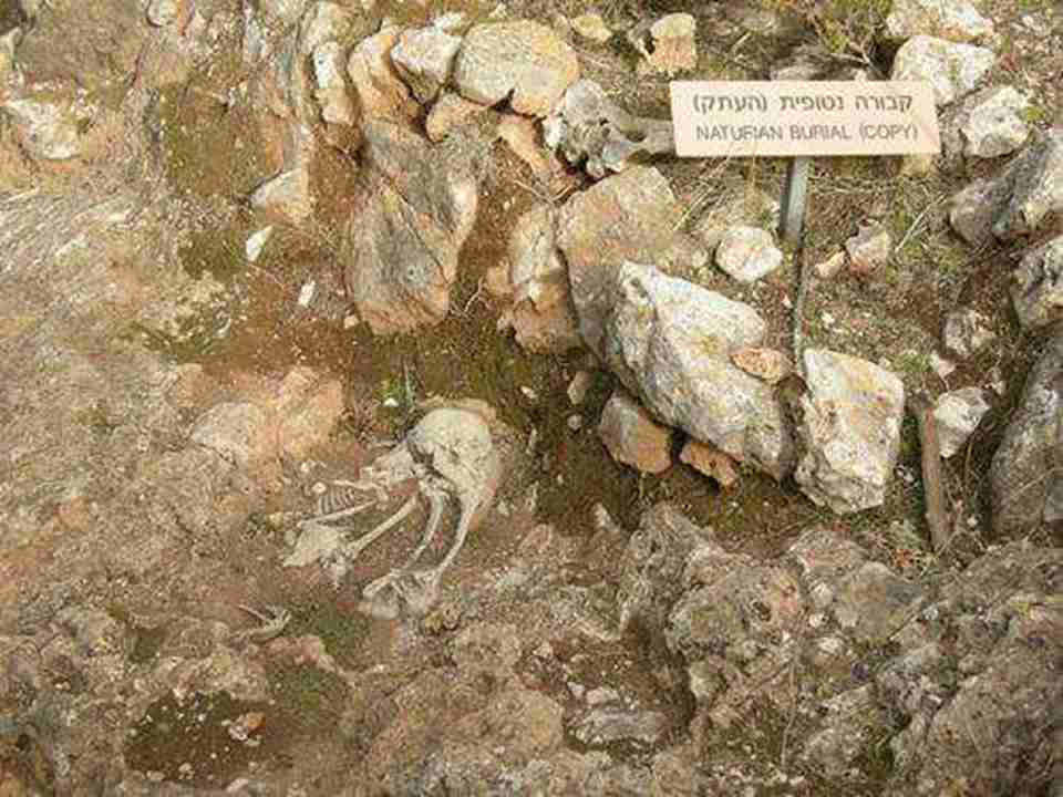 ��ַ�ڱ�����չ������50�������������̵��Ļ�����