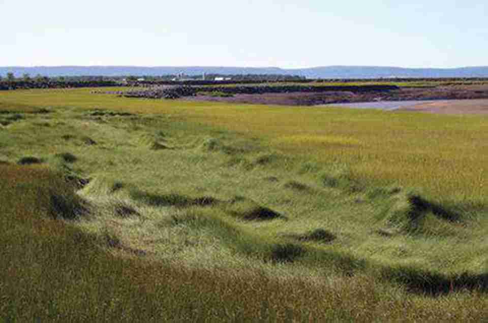 һ·����ƽ̹�Ĺ�·�����Կ�����Ұ������ס����󡢴������ޣ��