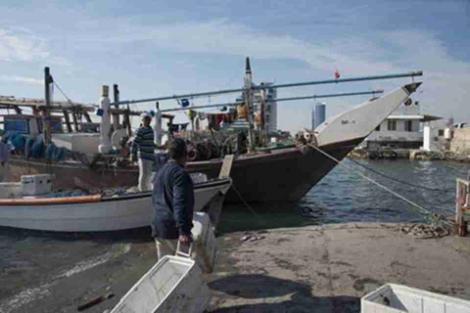 ��������ʷ�����Ǻ������������������ɼ���ó������