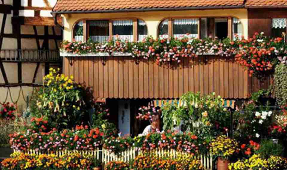 �����ʻ���׺��̨��԰�ĳ���լ�ڣ��ѳ���������ϲ�������ĳ������