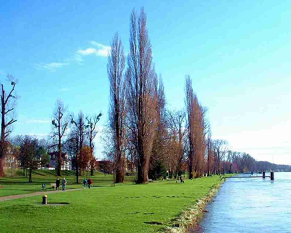 ������ǻ�������ɽ��ˮ����Ȼ�羰����