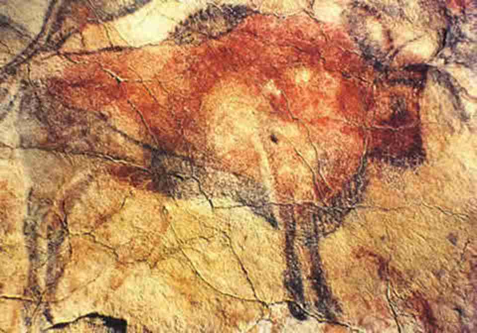 ��̬���桢���������ıڻ�