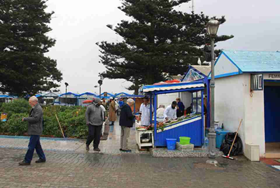 ÿ���糿����ͷ���з�æ������