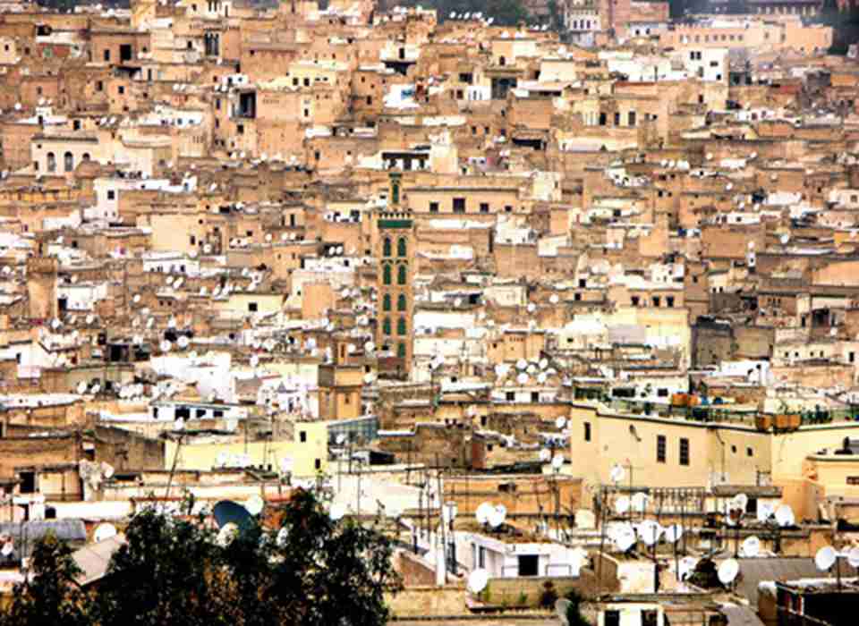 ��˹������ǰ����������ﱣ�����Ϊ��õĹŴ�����