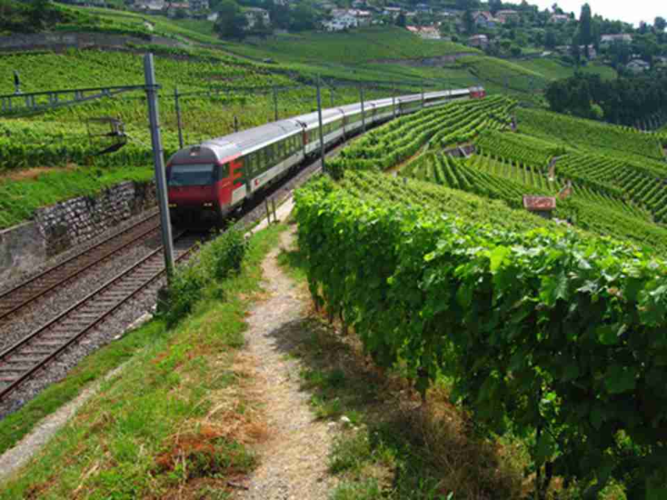 ���ٹ�·����·�߽��ں���ɽ֮��