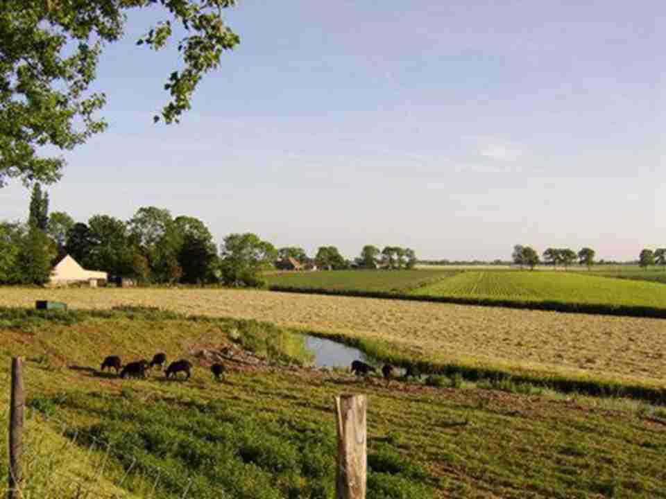 ��13����������ͨ��Χ������������޽����ܳ���2400ǧ�׵��������