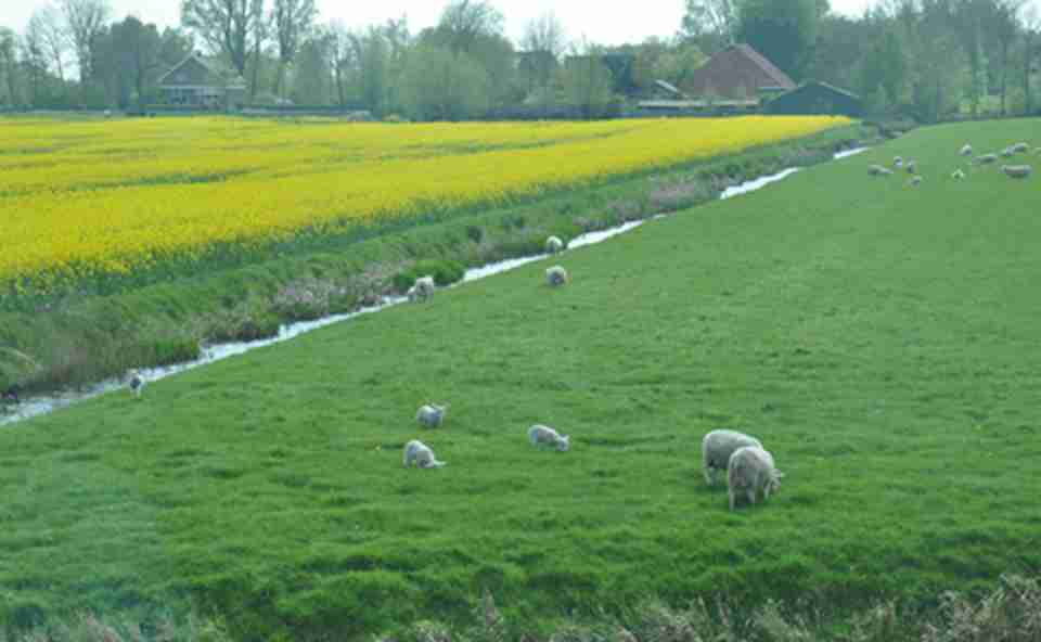 ��Ƭ������