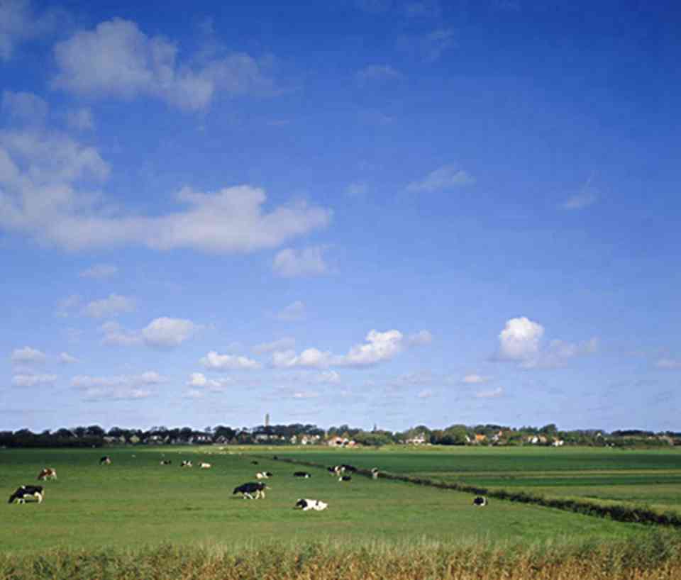 ����˹��ʡλ�ں�������