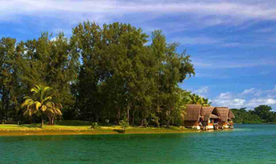 ���������������������Ԫ17���͵��ż����