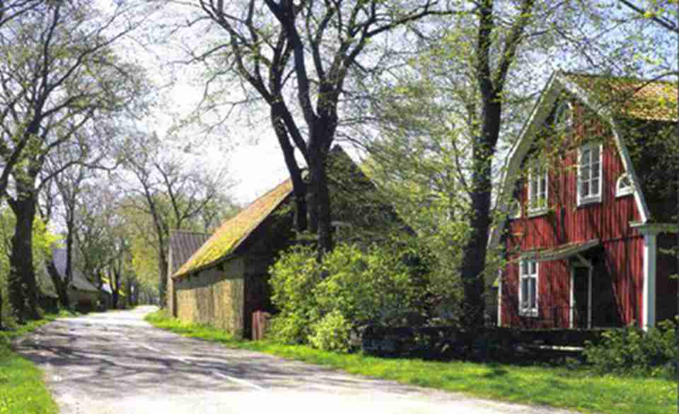 �϶�����ũҵ�羰����56000����ĸ��ء��ݳ�����ׯ���ű���ˮϵ���