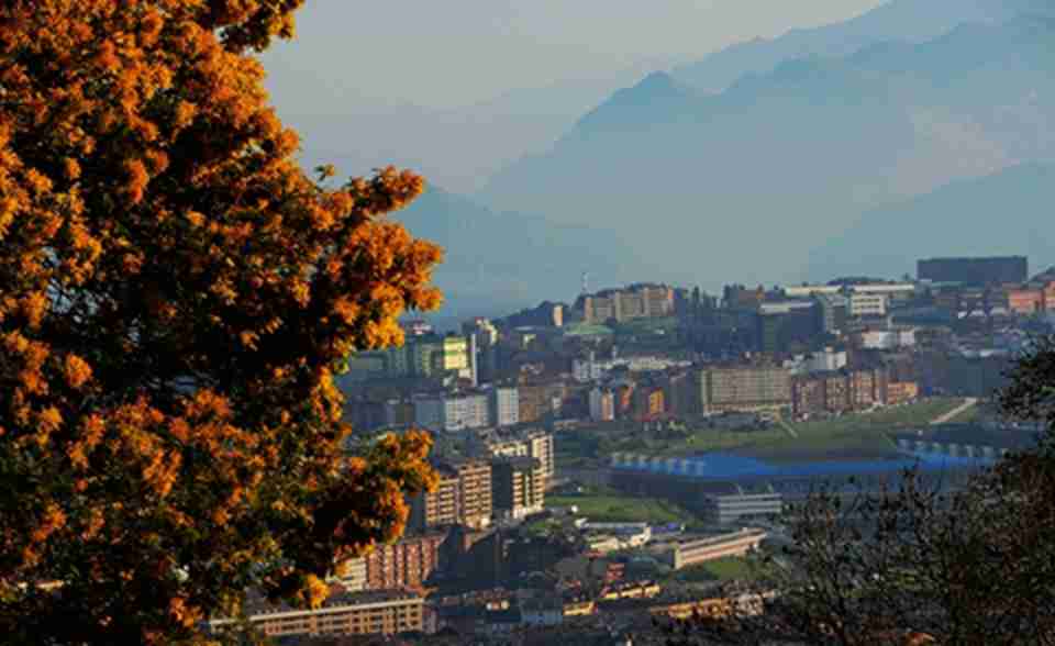 ��άҮ������������������һ������