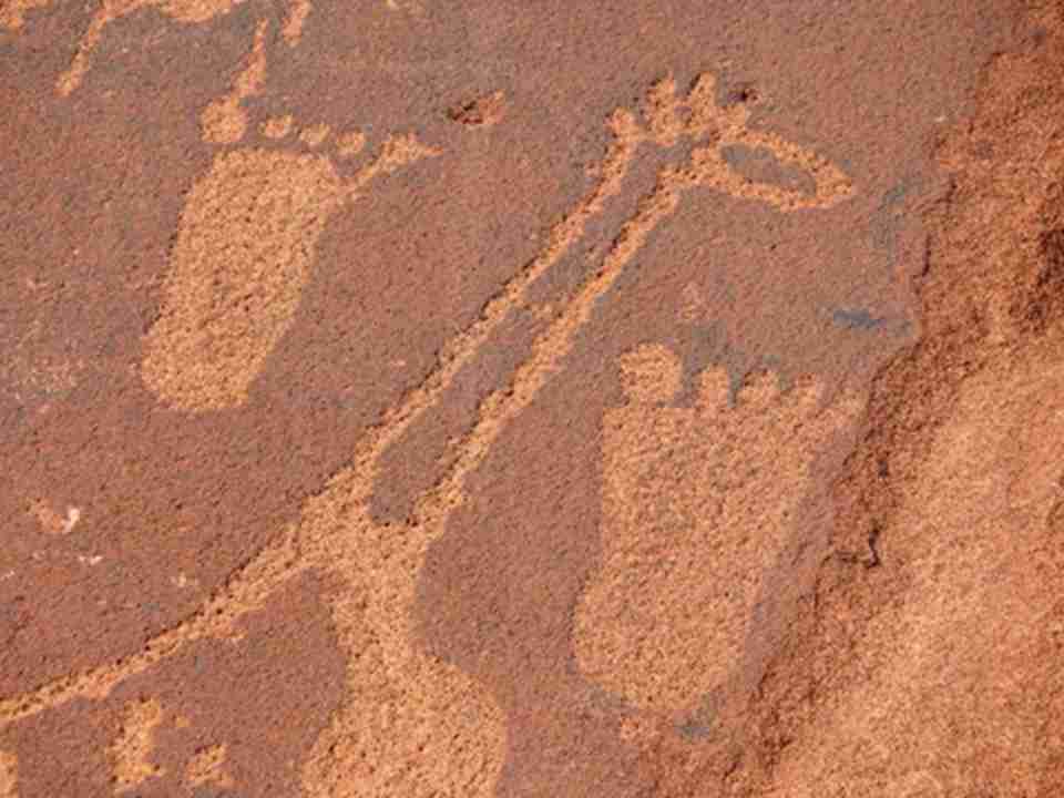 �Ʒƶ�Ȫ�һ������ױ��ǵ�һ�����롶�����Ų���¼������ַ