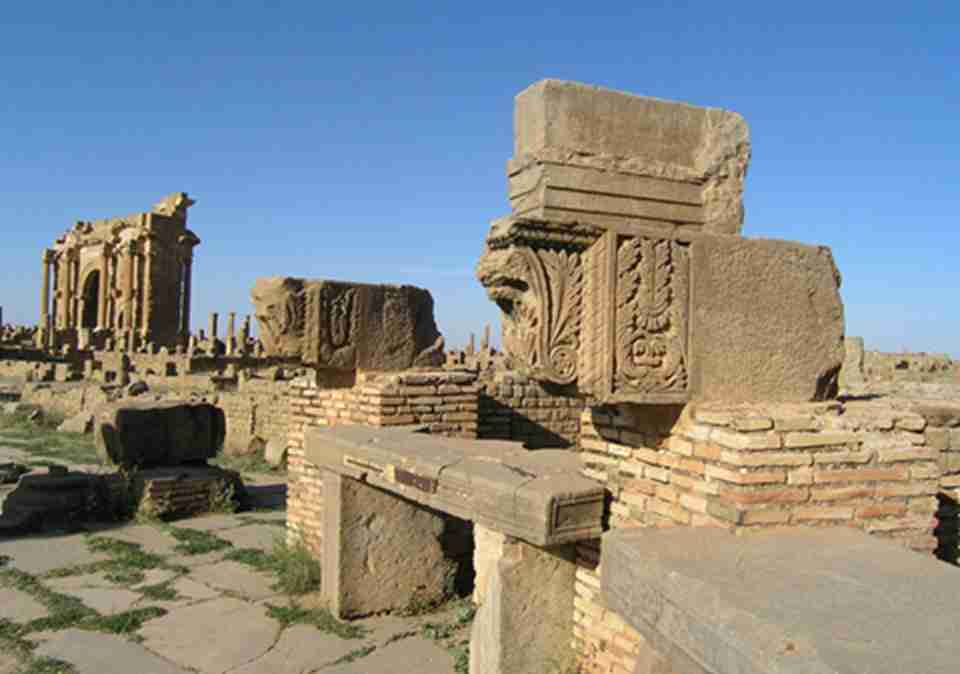 ��ķ�ӵ��ǰ��������������ų��ż�