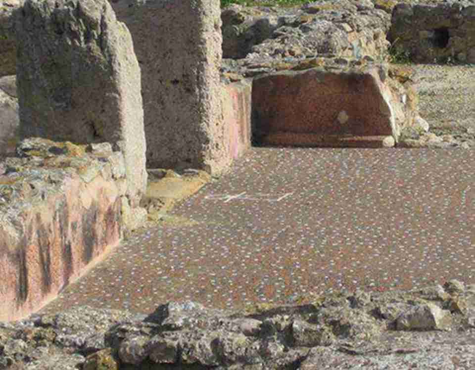 ������������д�Լ�ڵ�һ�β���ս���ڼ䱻����