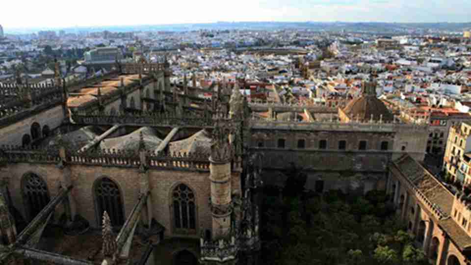 11������ά�ǳ�Ϊ����������Ϊ��Ҫ�ĳ���