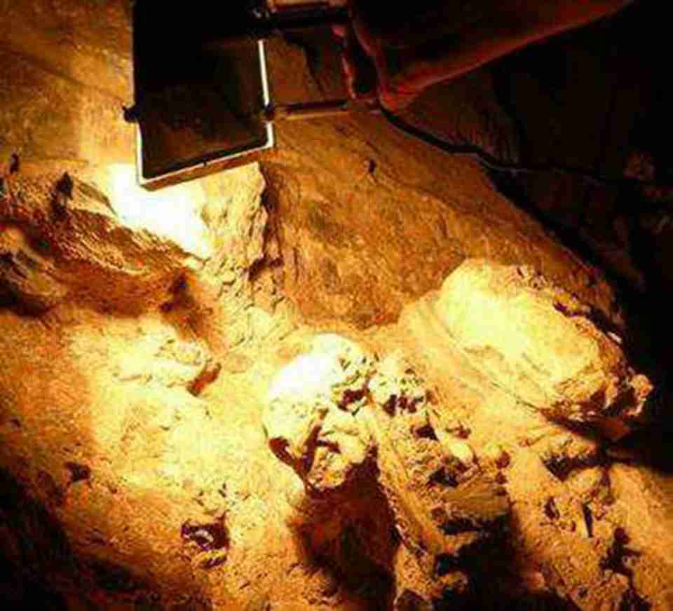 ���������������ҡ��������ַ���������������������������滯ʯ