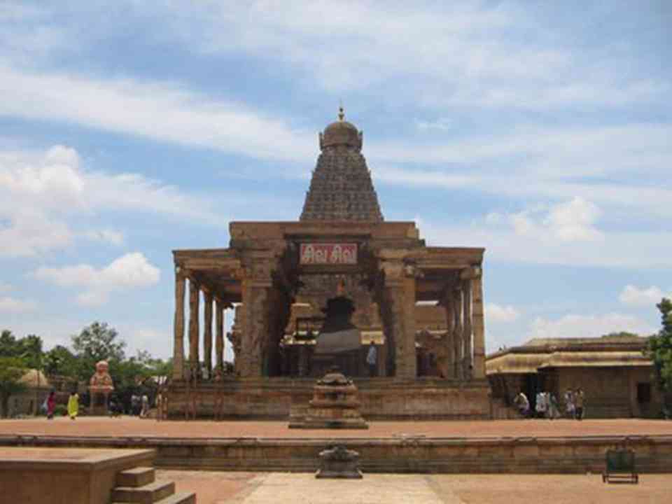 ���������ִ���������������������޽�