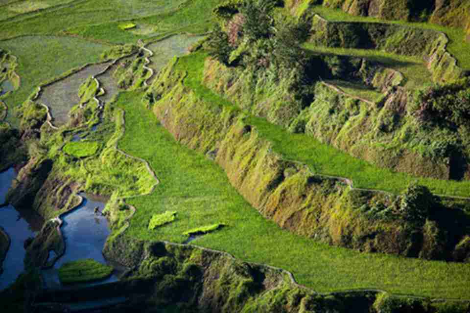 �Ƶ�����ɽ��ˮ���������ģΪ�������Ҳ����������������ϵͳ