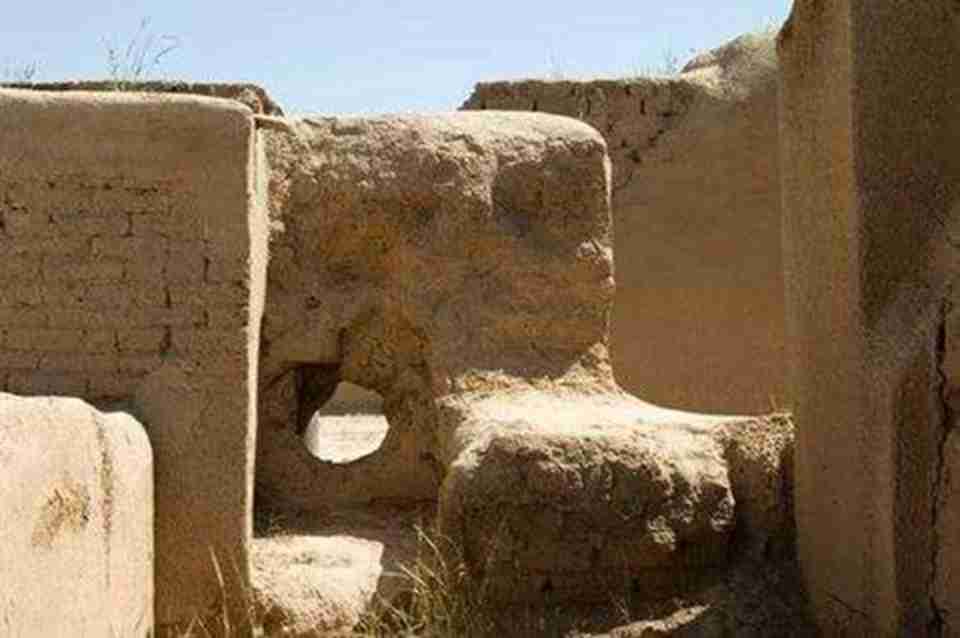 ��ɯ������Ҫ��չʾ���������������������Ҫ�ĳ�����ַ