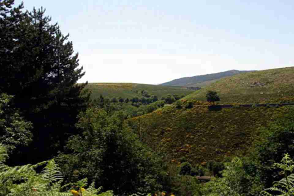 ��˹�����ġ����к�ũ���Ļ�����λ�ڷ������ϲ�����