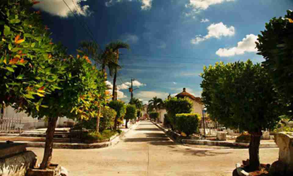 ���������һ��������ĳ��и�ֻ����Ϸ�չ������