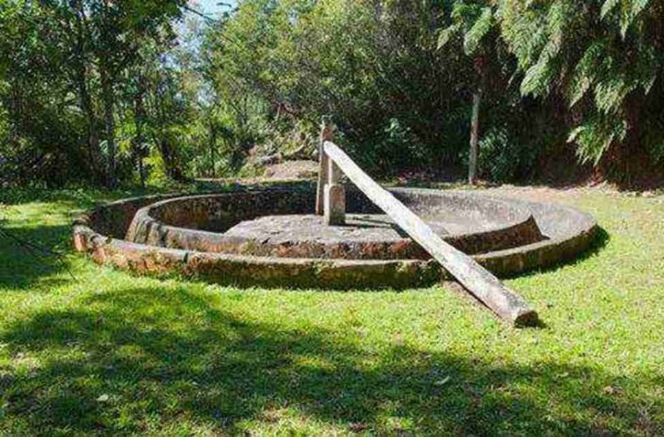 �ŰͶ��ϵ�һ��������ֲ԰�羰����һ���ر�����ĵط�