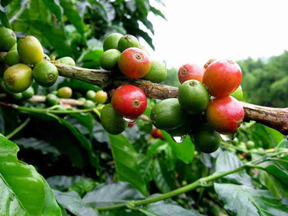 ���ױ��ǳ����Ŀ��ȶ���������