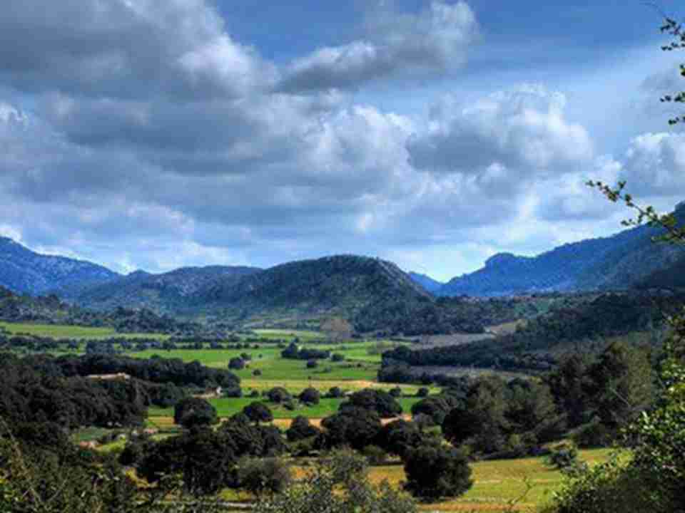 ����������ɽ���Ļ������������Ͱ����԰������ʢ��