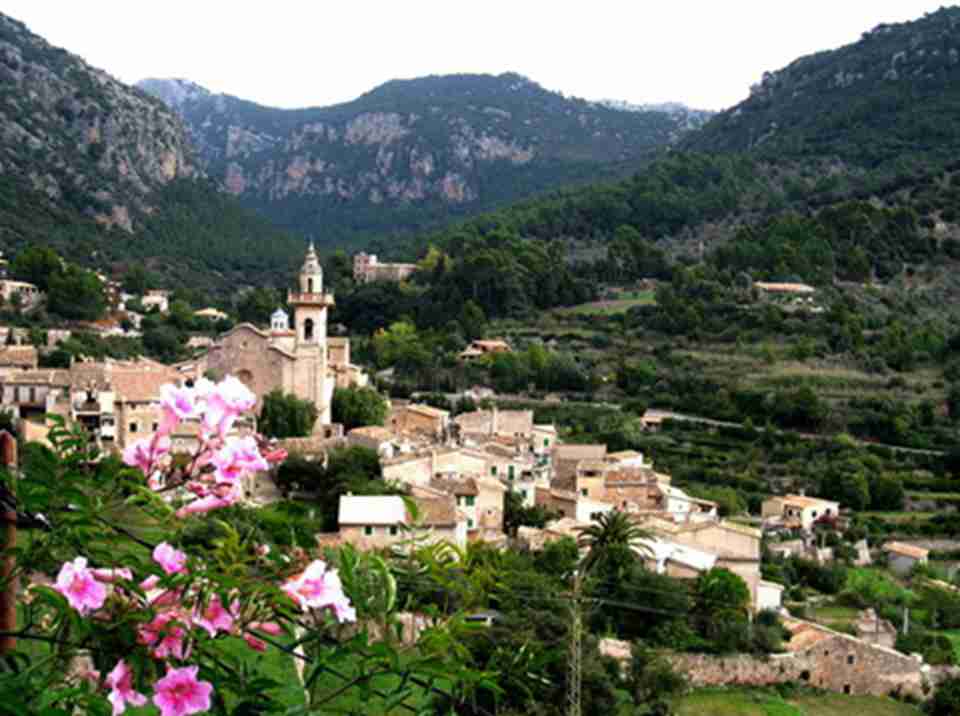 �����де�ɭ���е�׺�Ŵ�ׯ�Ľ���