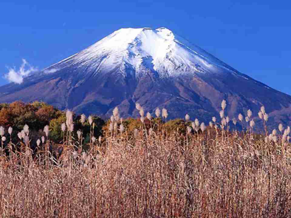 ��ʿɽ�γ�Լ��1���꣬�ǵ��͵Ĳ�״��ɽ