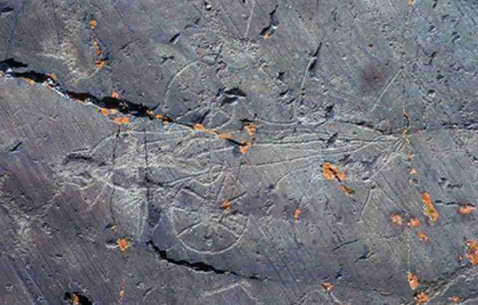 �һ���Ĺ㷺�����ݷḻ