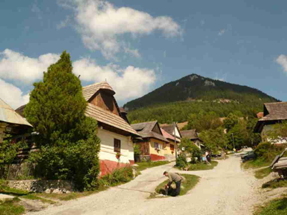 ���Ǿ���������ɽ�￴������ľ��