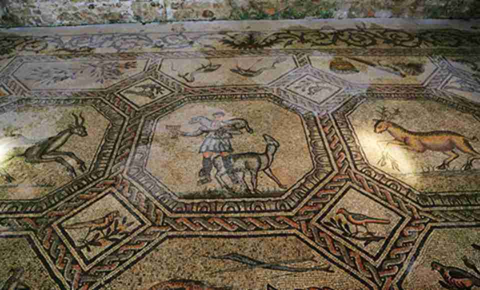 ��ʽ���������������㣬ţ���򣬻���һ������ͼ������