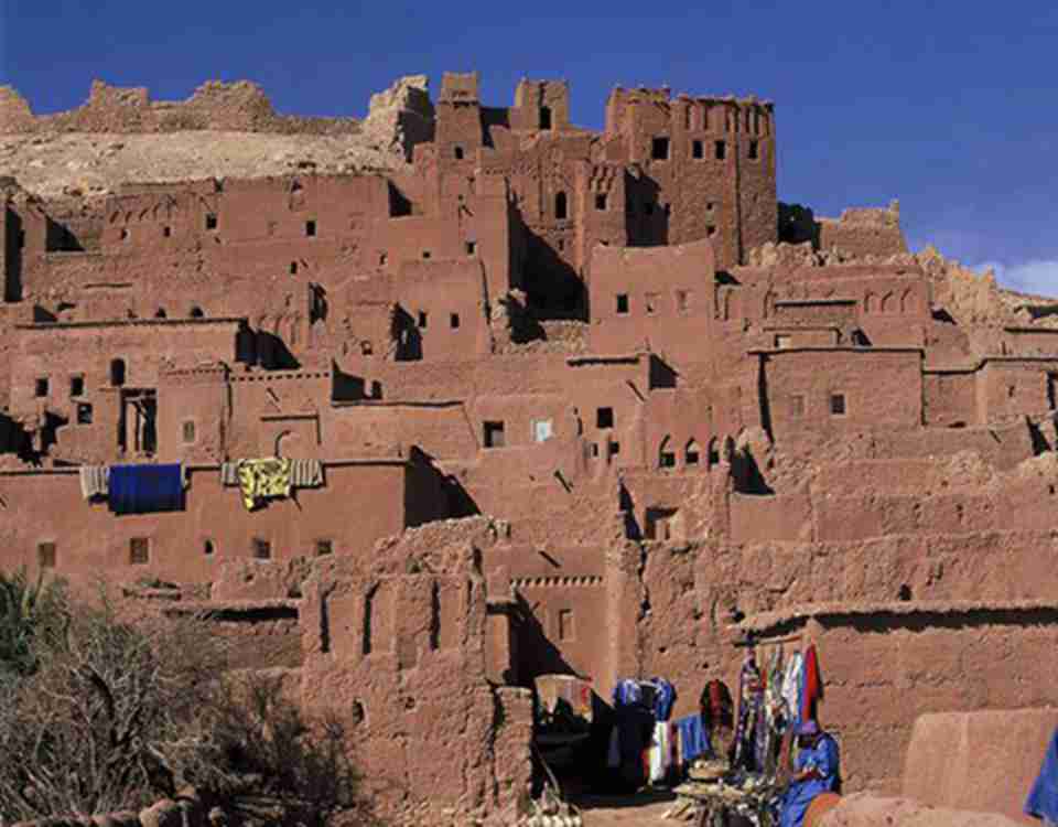 ����һ�����͵�ǰ����������۾���