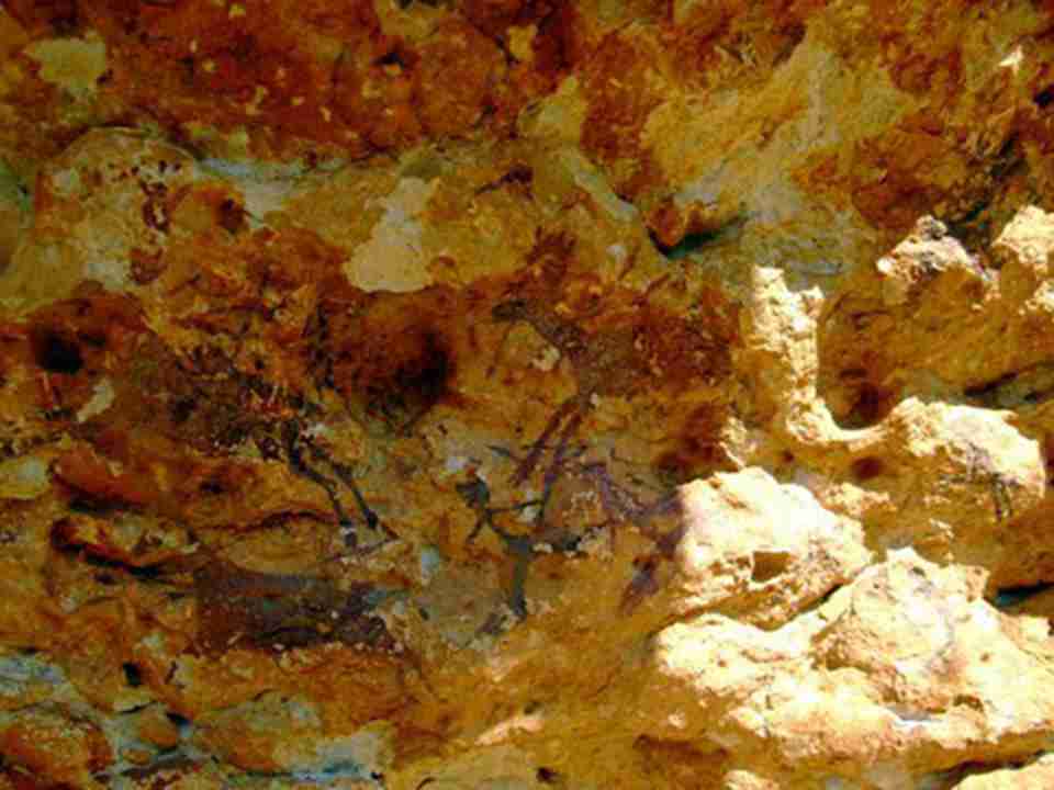 �������ǰ뵺�����ĵ��к�����д���ʷǰ�Ļ��ż�