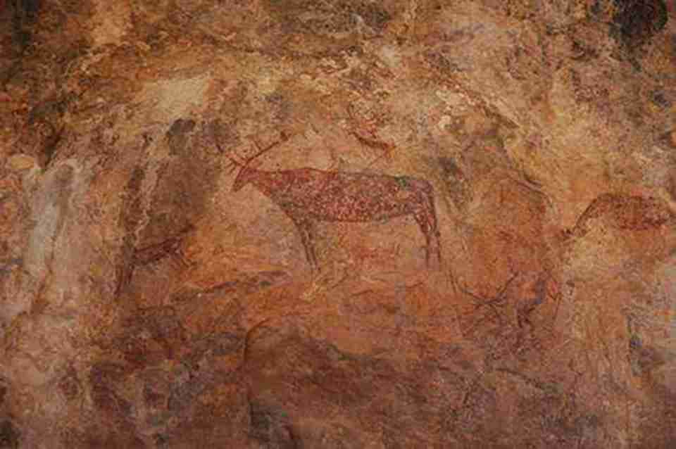 �ڻ����ݷḻ����ʽ���ڱ仯��ɫ�ʶ���