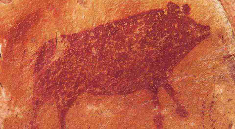 ��Щ�ڻ���ɫ��һ����Ҫ�к�ɫ����ɫ����ɫ