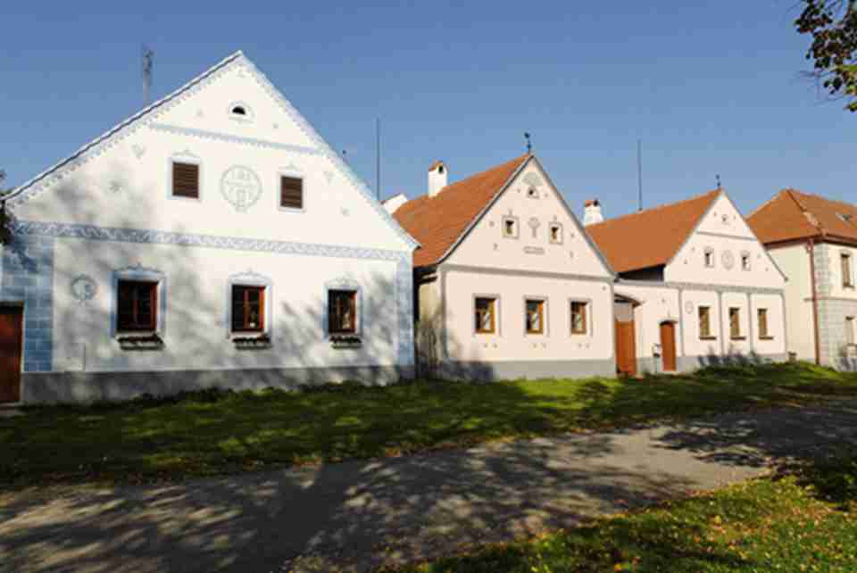 ������ά������ñ������ŷ��ͳ�����һ�������걾