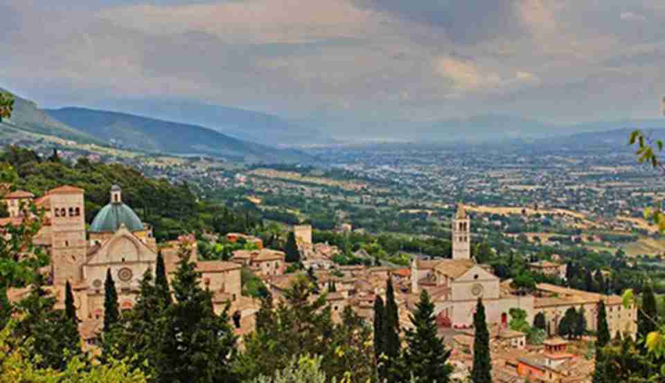 ԶԶ��ȥ������һ��õ��ɫ��ʥ��