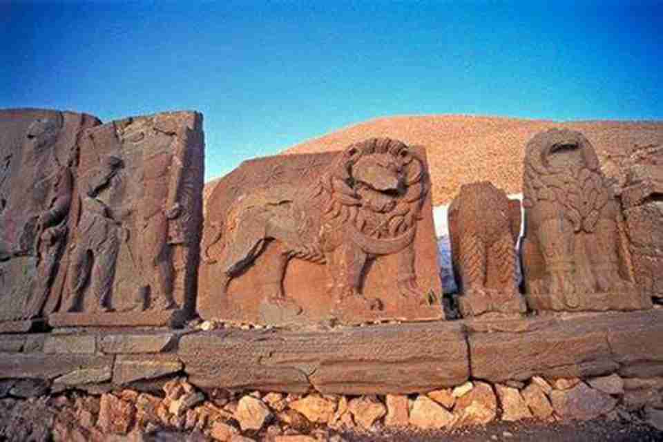 ��Щ���������м�ֵ���ǵ��������ʨ��������